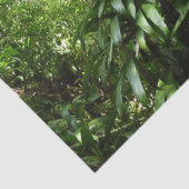 ドミニカ熱帯緑の熱帯雨林I自然 薄葉紙 (詳細)