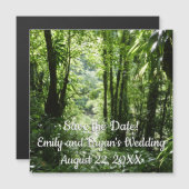 ドミニカ熱帯雨林II熱帯緑 (正面/裏面)