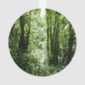 ドミニカ熱帯雨林II熱帯緑 オーナメント (裏面)