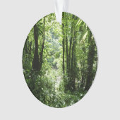 ドミニカ熱帯雨林II熱帯緑 オーナメント (正面)