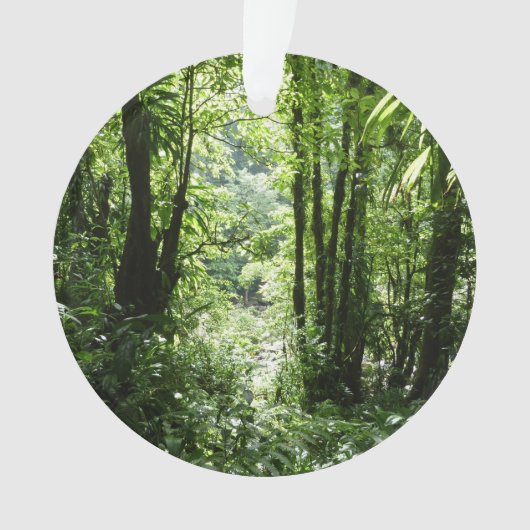 ドミニカ熱帯雨林II熱帯緑 オーナメント (正面)