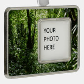 ドミニカ熱帯雨林II熱帯緑 シルバープレートフレームオーナメント (右)