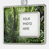 ドミニカ熱帯雨林II熱帯緑 シルバープレートフレームオーナメント (左)