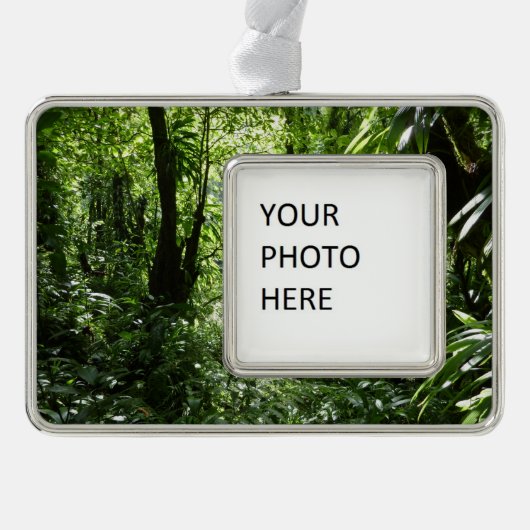 ドミニカ熱帯雨林II熱帯緑 シルバープレートフレームオーナメント (正面)