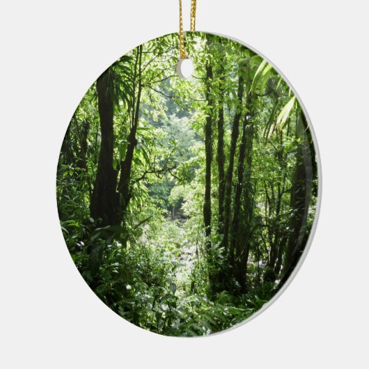 ドミニカ熱帯雨林II熱帯緑 セラミックオーナメント (左)