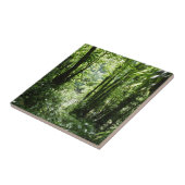 ドミニカ熱帯雨林II熱帯緑 タイル (側面)