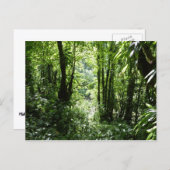 ドミニカ熱帯雨林II熱帯緑 ポストカード (正面/裏面)