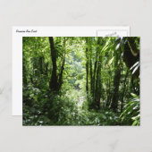 ドミニカ熱帯雨林II熱帯緑 ポストカード (正面/裏面)