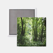 ドミニカ熱帯雨林II熱帯緑 マグネット (正面/裏面)