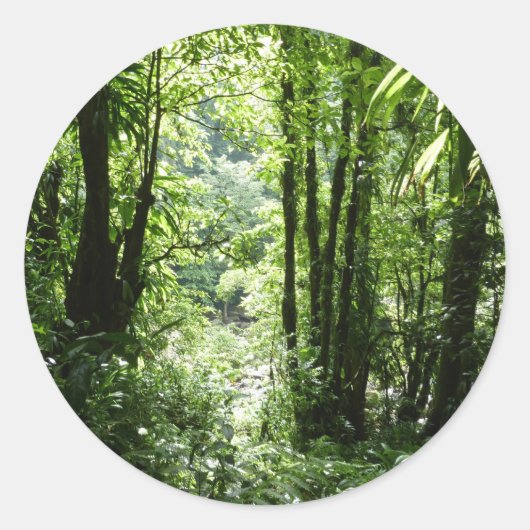 ドミニカ熱帯雨林II熱帯緑 ラウンドシール (正面)