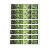 ドミニカ熱帯雨林II熱帯緑 ラップアラウンドラベル (シート)