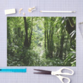 ドミニカ熱帯雨林II熱帯緑 薄葉紙 (クラフト)