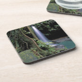 ドミニカ、エメラルドプール、滝。 コースター (左側)