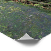 ドミニカ、エメラルドプール、滝。 ポスター (角)