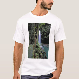 ドミニカ エメラルドプール 滝 Tシャツ