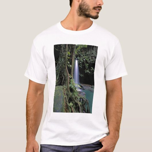 ドミニカ エメラルドプール 滝 Tシャツ (正面)