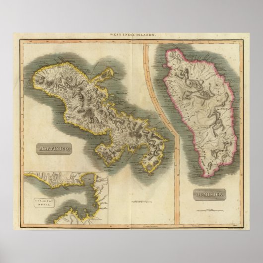 ドミニカ・マルティニコ ポスター (正面)
