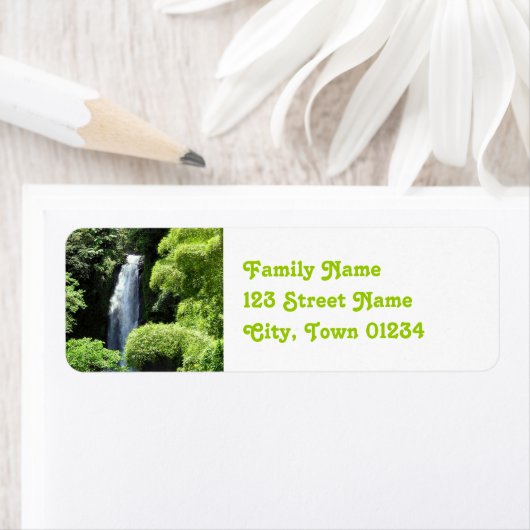 ドミニカ ラベル (インサイチュ)