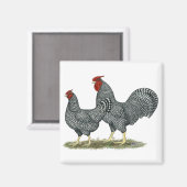 ドミニク風チキン マグネット (正面/裏面)