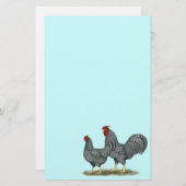 ドミニク風チキン 便箋 (正面/裏面)