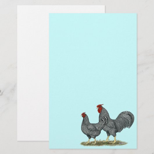 ドミニク風チキン 便箋 (正面/裏面)