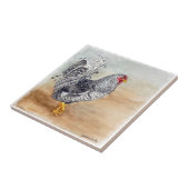 ドミニク鶏の鶏の水彩画 タイル (側面)