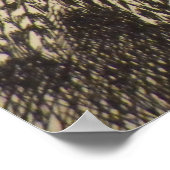 ドミニク鶏 ポスター (角)