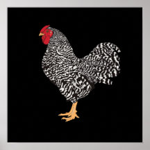 ドミニク・ルースター