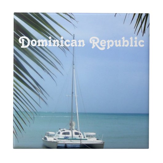 ドミニコ共和国人のビーチ タイル (正面)