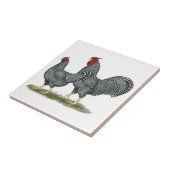 ドミニックの鶏 タイル (側面)