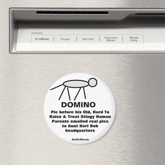 ドミノ マグネット (インサイチュ (食洗機))