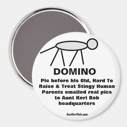 ドミノ マグネット (正面/裏面)