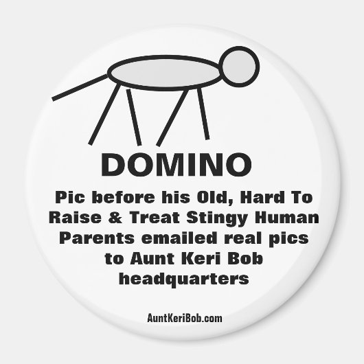 ドミノ マグネット (正面)