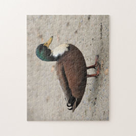 ドメスティックマラードデュクレアーバイブドオッドダック ジグソーパズル