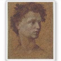 ドメニコ・ベカフミ – Head of a Youth