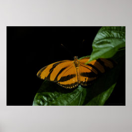 ドライアドプリント ポスター