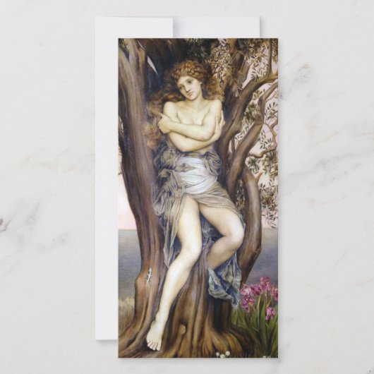 ドライアド（美しい木のニンフ） （ギリシャ神話） カード (正面)