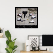 ドライアンの航空機ランプの研究艦隊 – 1997 ポスター (ホームオフィス)