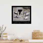 ドライアンの航空機ランプの研究艦隊 – 1997 ポスター (キッチン)