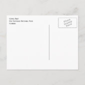 ドライアートゥガス国立公園コーラルリーフ ポストカード (裏面)