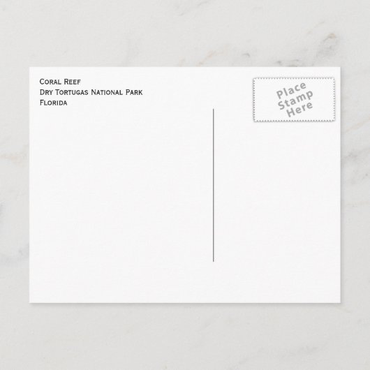 ドライアートゥガス国立公園コーラルリーフ ポストカード (裏面)