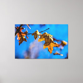 ドライオークの葉 – 春は遠くない キャンバスプリント