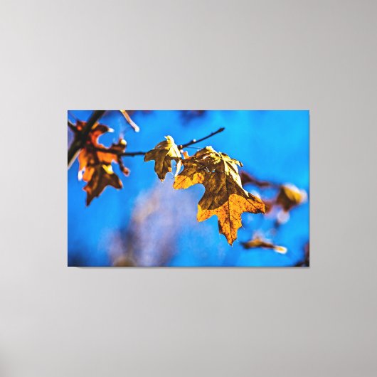 ドライオークの葉 – 春は遠くない キャンバスプリント (正面)