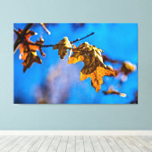 ドライオークの葉 – 春は遠くない キャンバスプリント (インサイチュ (ウッドフロア))