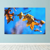 ドライオークの葉 – 春は遠くない キャンバスプリント (インサイチュ (ウッドフロア))