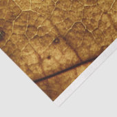 ドライオータムリーフ背景デコページティッシュペーパー 薄葉紙 (詳細)