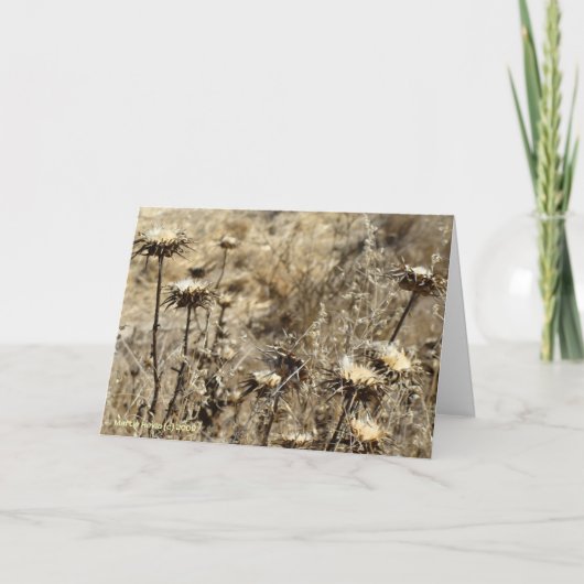 ドライグラス カード (正面)