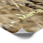 ドライグラス ポスター (角)