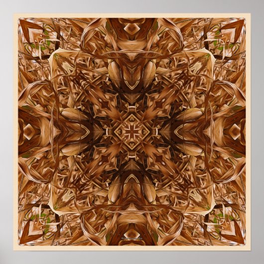 ドライコーンハスク抽象芸術16 ポスター (正面)