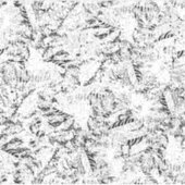 ドライデザイン22 シール (正面)